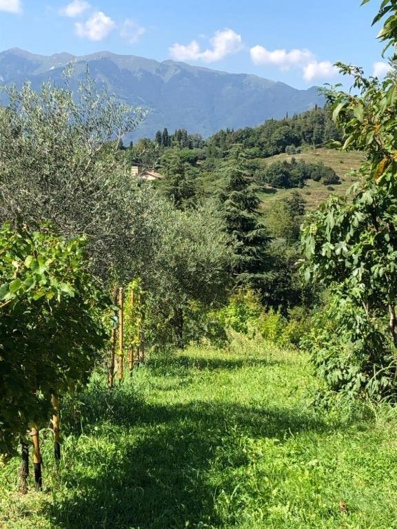 Apartamento Casa Bembo Asolo Exterior foto